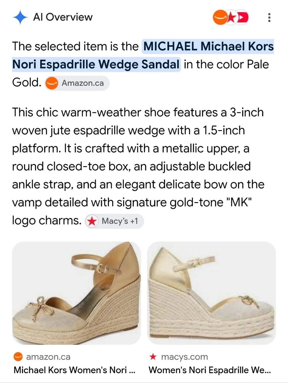 Michael Kors Nori Wedge Platform Espadrilles
